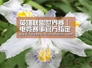 产品名称二