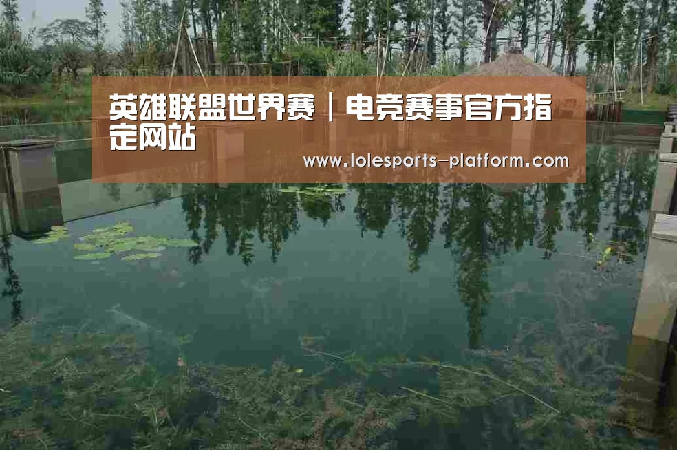 案例展示二