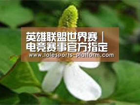 产品名称三