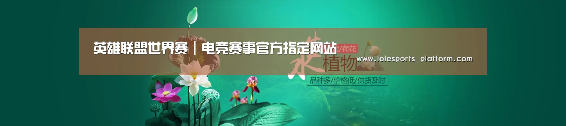 鲜花水草花卉网站模板