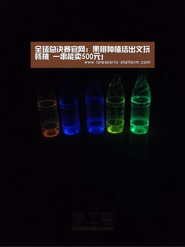 全球总决赛官网：果树种植结出文玩核桃 一串能卖500元！
