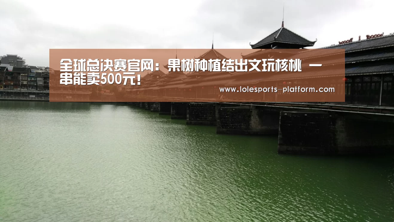 全球总决赛官网:果树种植结出文玩核桃 一串能卖500元!(图2) 英雄联盟世界赛