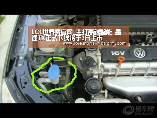 LOL世界赛官网