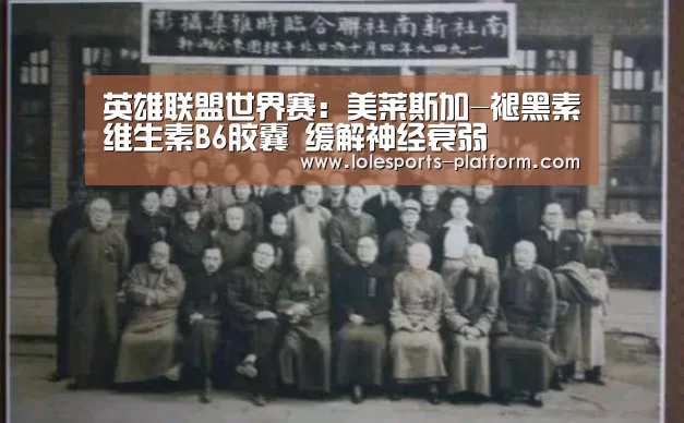 英雄联盟世界赛:美莱斯加-褪黑素维生素B6胶囊 缓解神经衰弱(图1) 英雄联盟世界赛