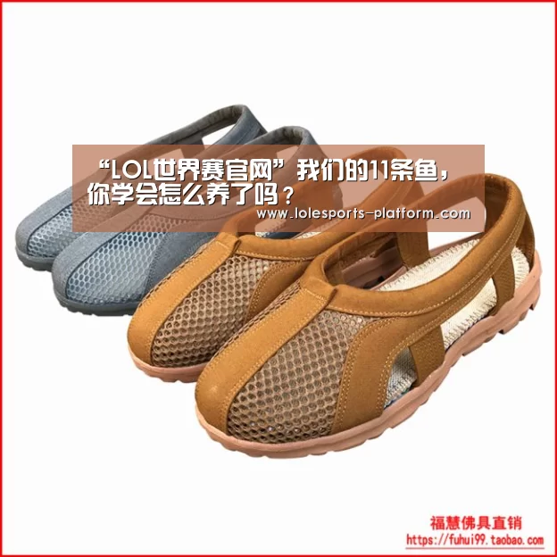 “LOL世界赛官网”我们的11条鱼,你学会怎么养了吗?(图4) 全球总决赛官网