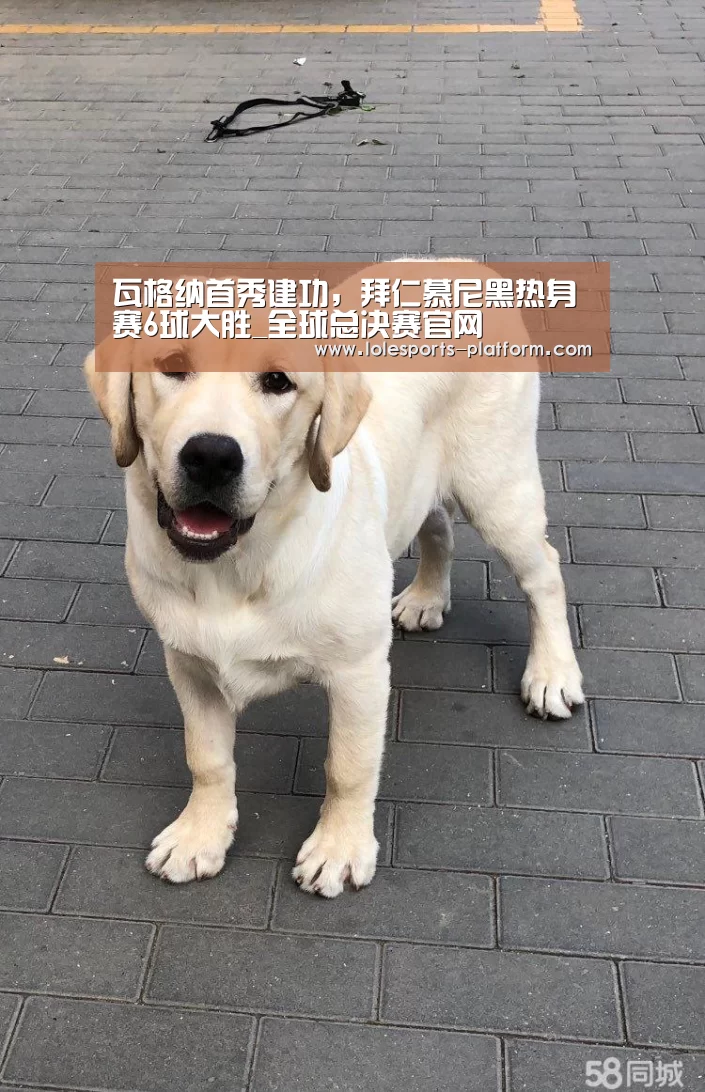 英雄联盟世界赛